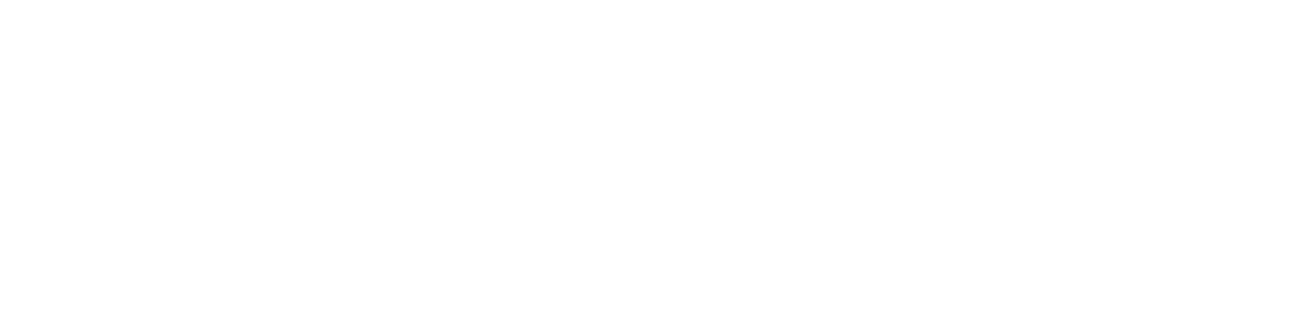 THE NEW INN