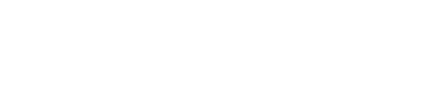 inadigital white logo (2)